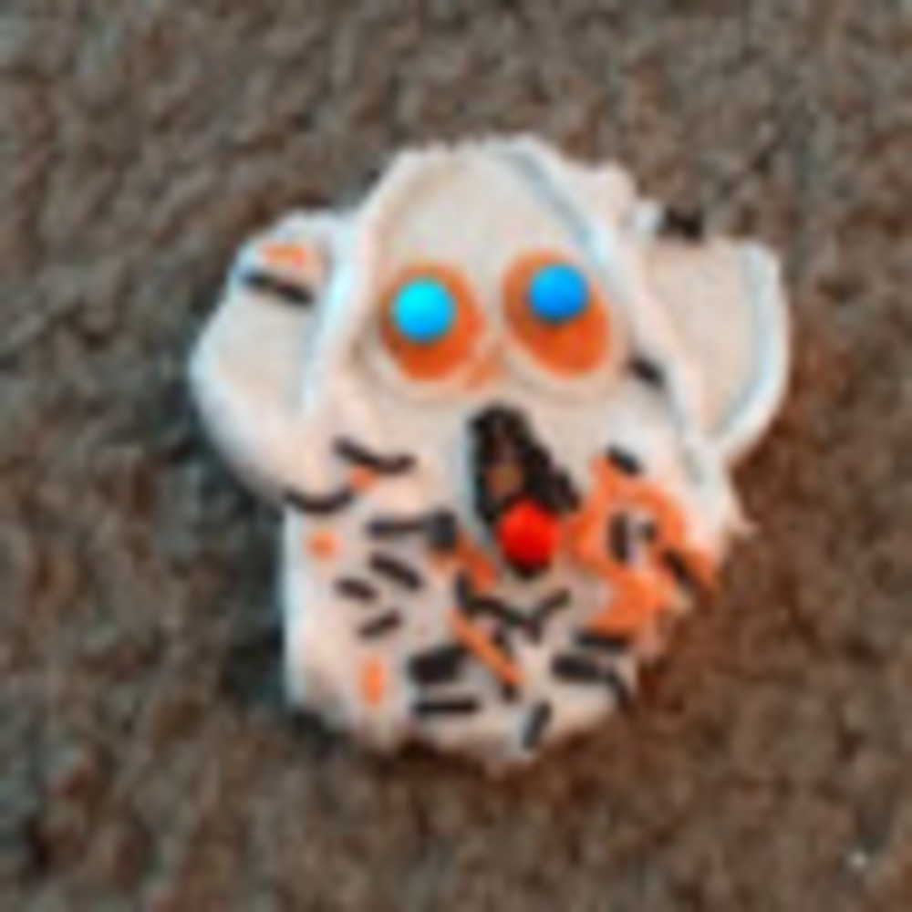 Meet your Posher, Erin